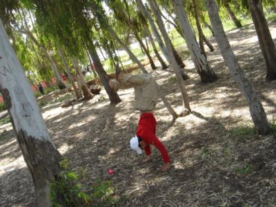 c rap maroc osaf
